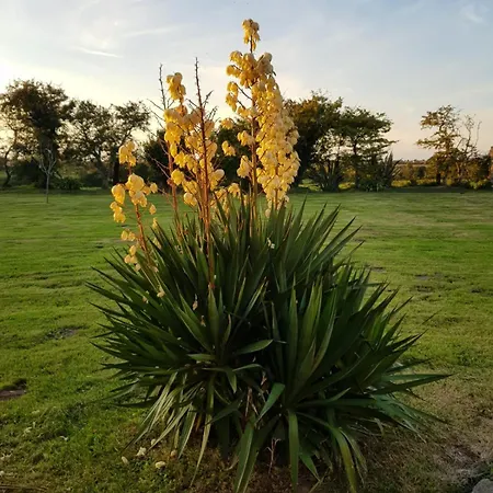 La Ferme De Nehou Penzion Gatteville-le-Phare