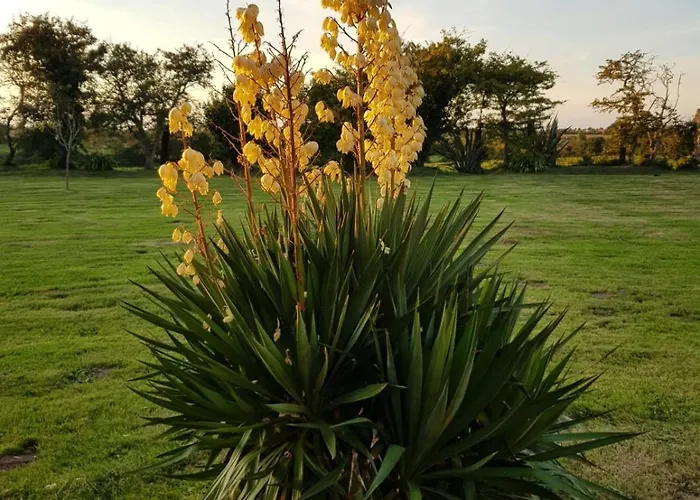 La Ferme De Nehou Penzion Gatteville-le-Phare