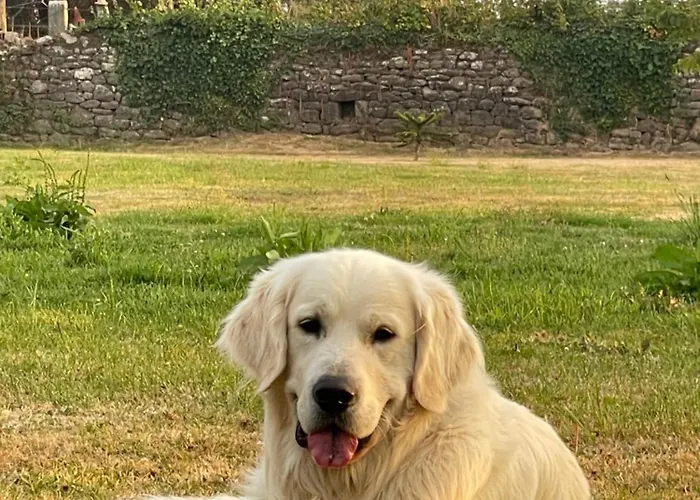 Penzion La Ferme De Nehou 3*